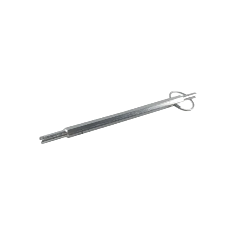 SCHWEERS-TARRACHA SEXTAVADA LONGA - TR 04