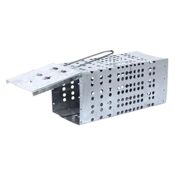 RATOEIRA CHAPA MEDIA C/24 - GERAL