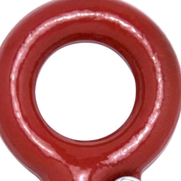 GANCHO OLHAL C/TRAVA 0750KG-CARBOSTORM
